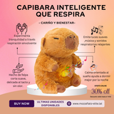 Capibara Inteligente que Respira, Da Cariño y Bienestar